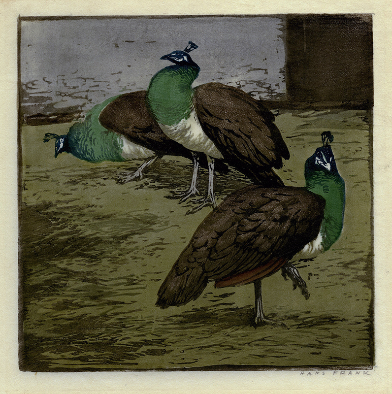 (three peahens) by Hans Frank