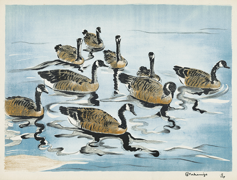 (Canada geese) by Fugi Nakamizo