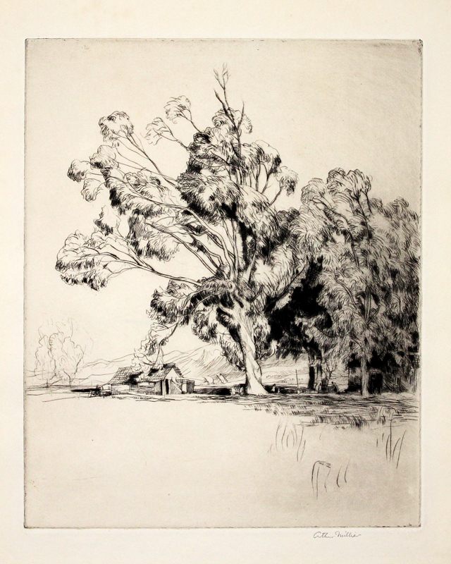 Old Gum Tree - San Fernando by Arthur Henry Thomas Millier