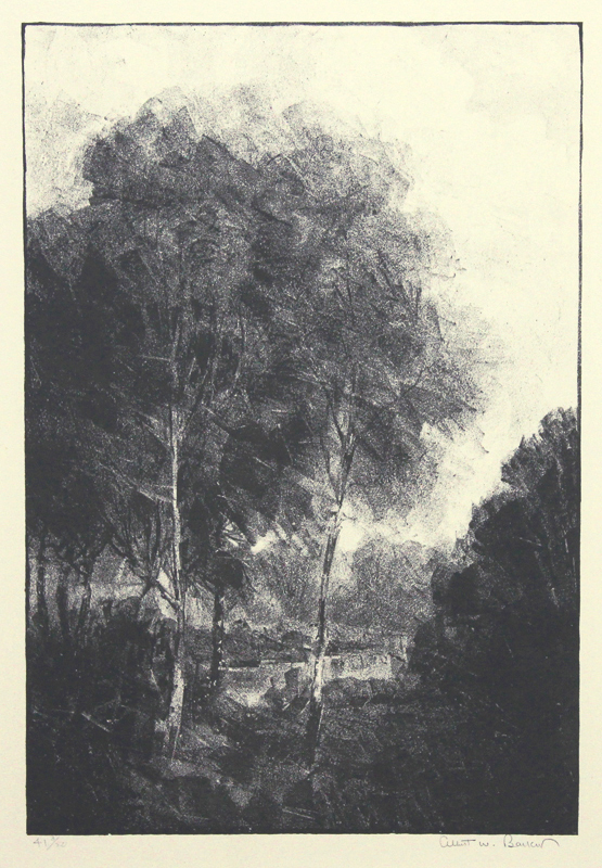 Young Maples by Albert Winslow Barker