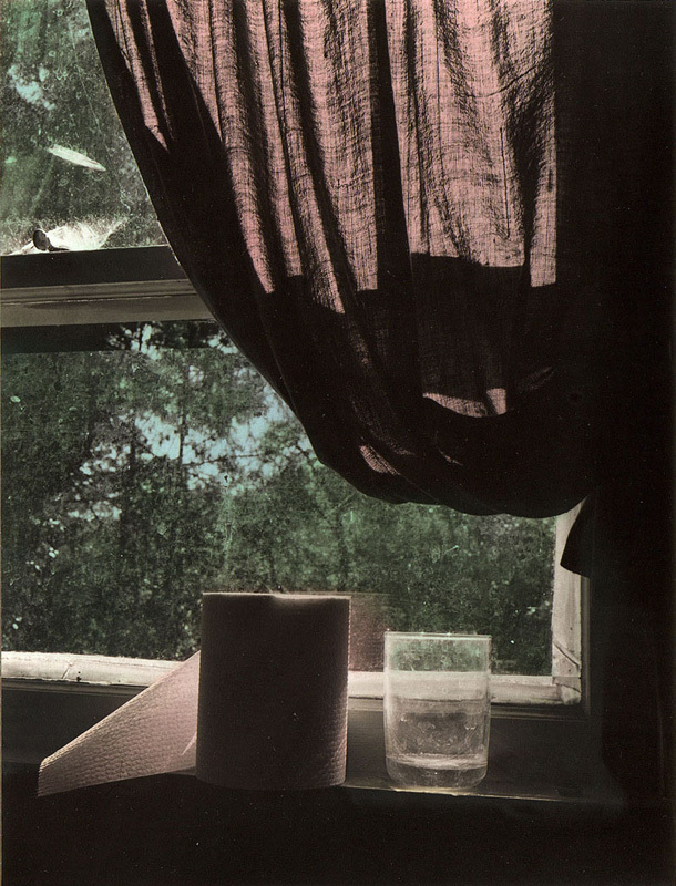 Images From Home (bathroom window) by Patricia Mercer