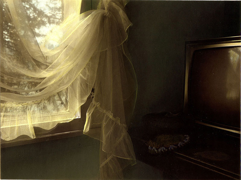 Images From Home (window and television) by Patricia Mercer