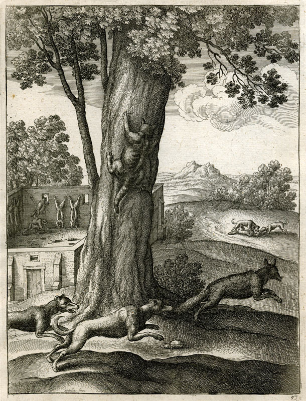 The Fox and the Cat (from Aesops Fables, after Francis Clein); plate 51 by Wenceslaus Hollar