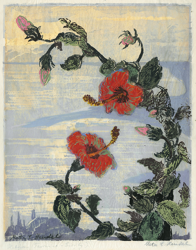 Hibiscus  (Taormina Sicily) by Meta Cohen Hendel