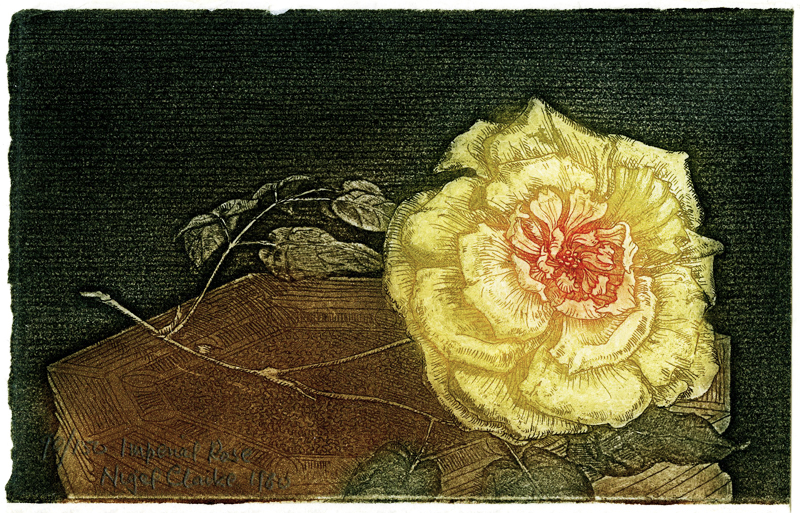 Imperial Rose by Nigel Clarke