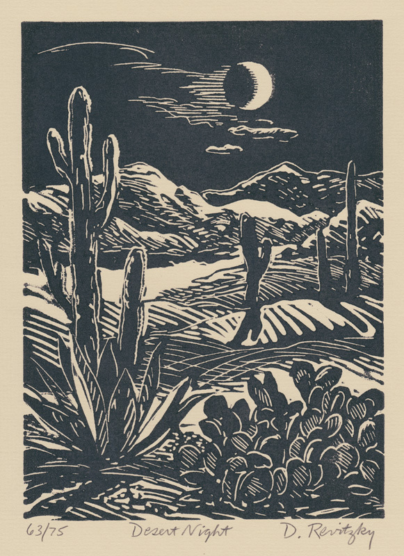Desert Night by Dennis Revitzky