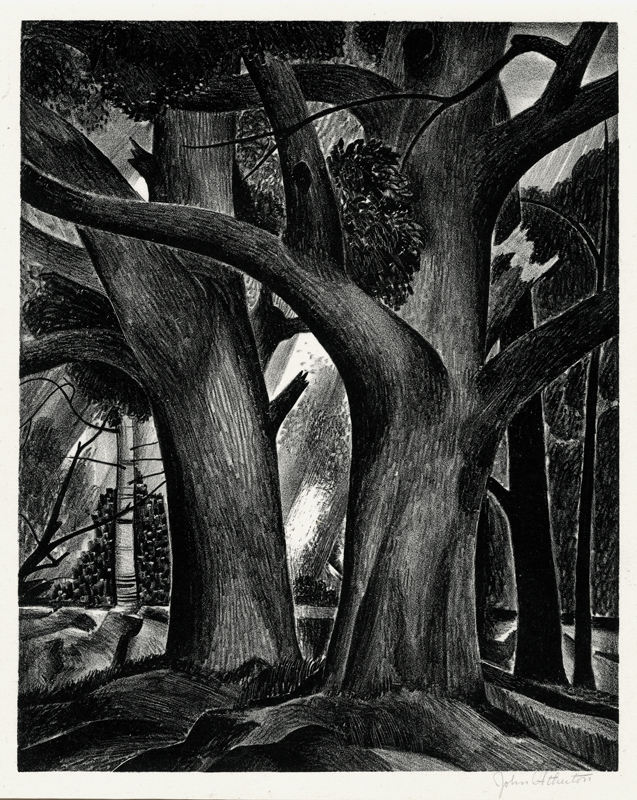 Untitled (trees) by John C. Atherton