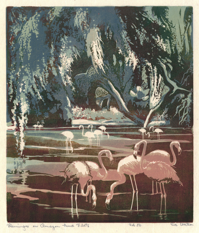 Flamingos on Amazon Mud Flats by Eva Auld Watson