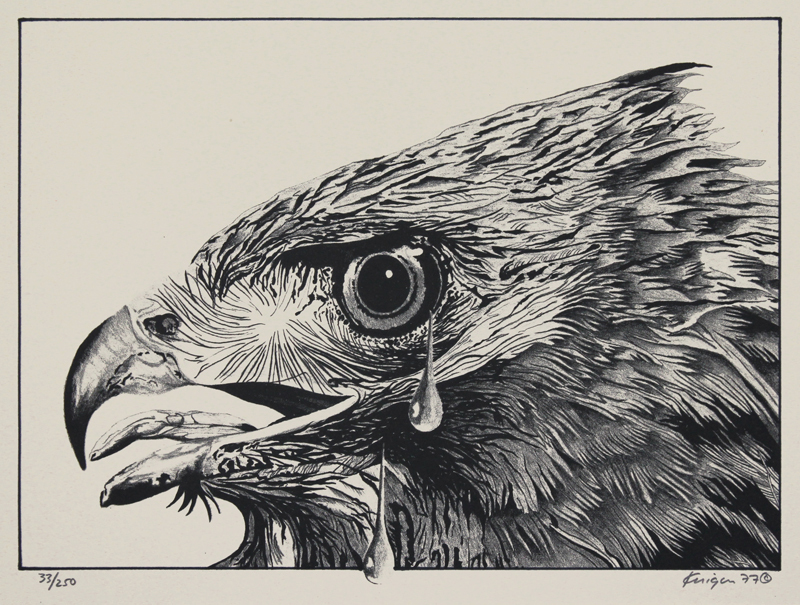 Golden Eagle by Michael Knigin