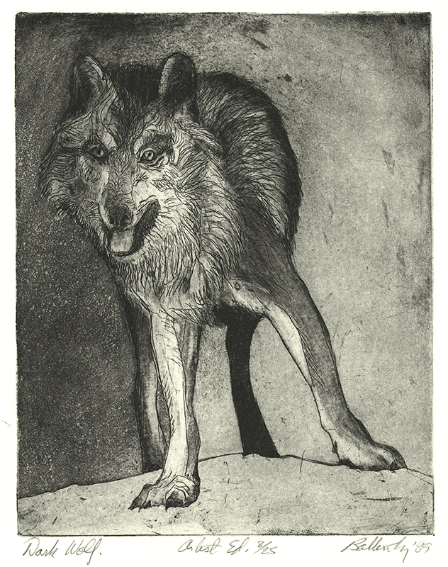 Dark Wolf by John Nelson Battenberg