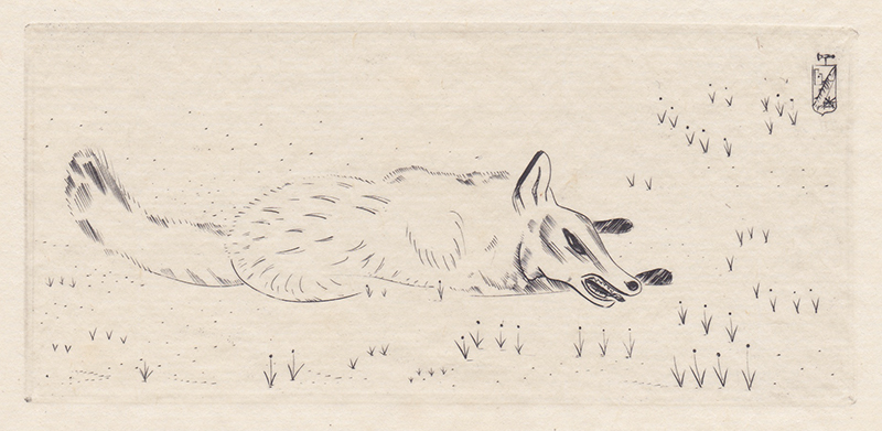 (Fox) by Joseph Hecht