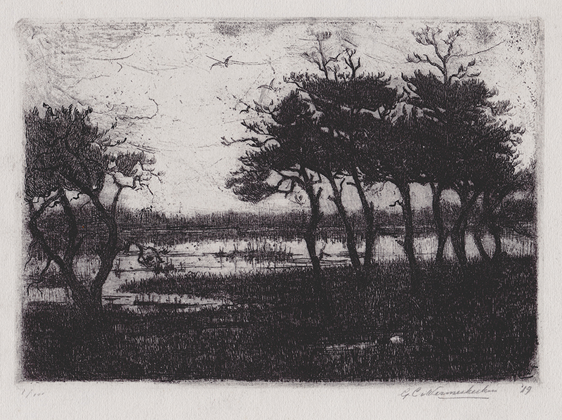 (view of marsh) by Geertrudia Christina van Wermeskerken