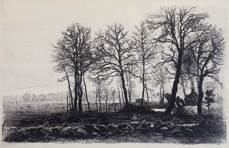 (Landscape with field and trees) by Unidentified