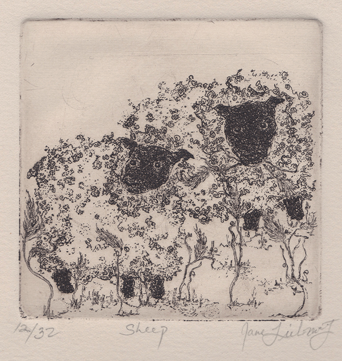 Sheep by Unidentified