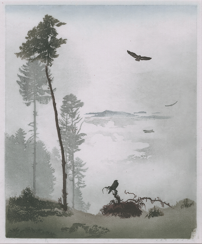 Adler im Hochgebirge (Eagles in High Mountains) by Leo Frank