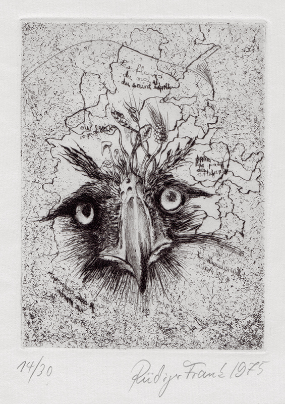 Untitled (bird of prey), from the series Metamorphosis Animalis by Tilopa Monk a.k.a. Rudiger Frank