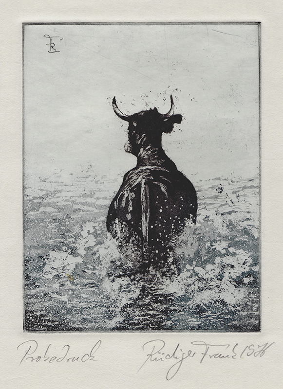 Untitled (wading bull), from the series Metamorphosis Animalis by Tilopa Monk a.k.a. Rudiger Frank