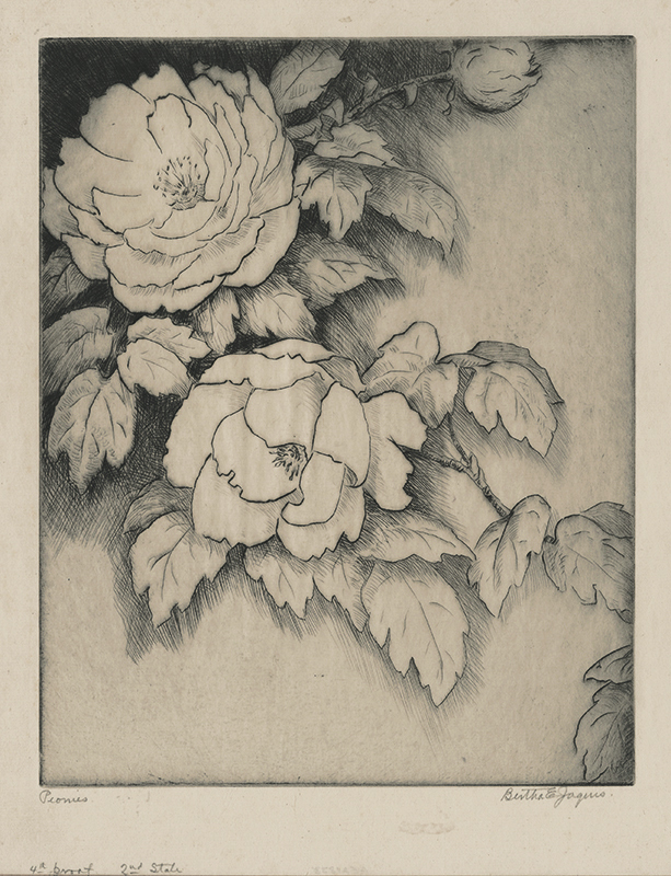 Peonies (also called: Japanese Peonies or Peony) by Bertha Evelyn Jaques