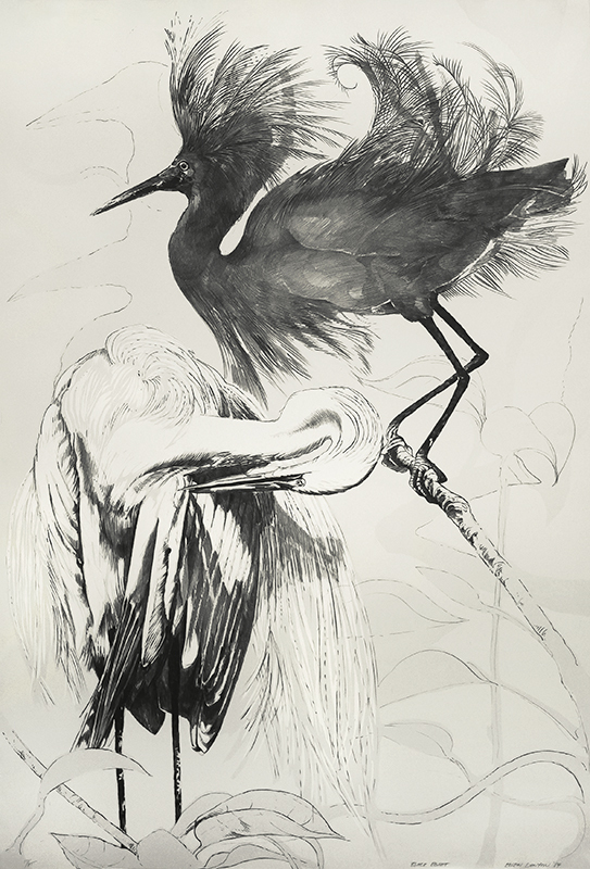 Black Egret by Ellen Lanyon