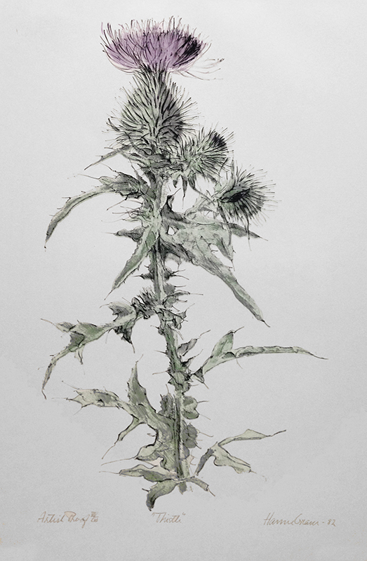 Thistle by Hanne Greaver