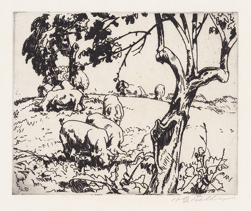 Pigs In Orchard, Humms Farm, Berlin Heights, Ohio by Henry George Keller