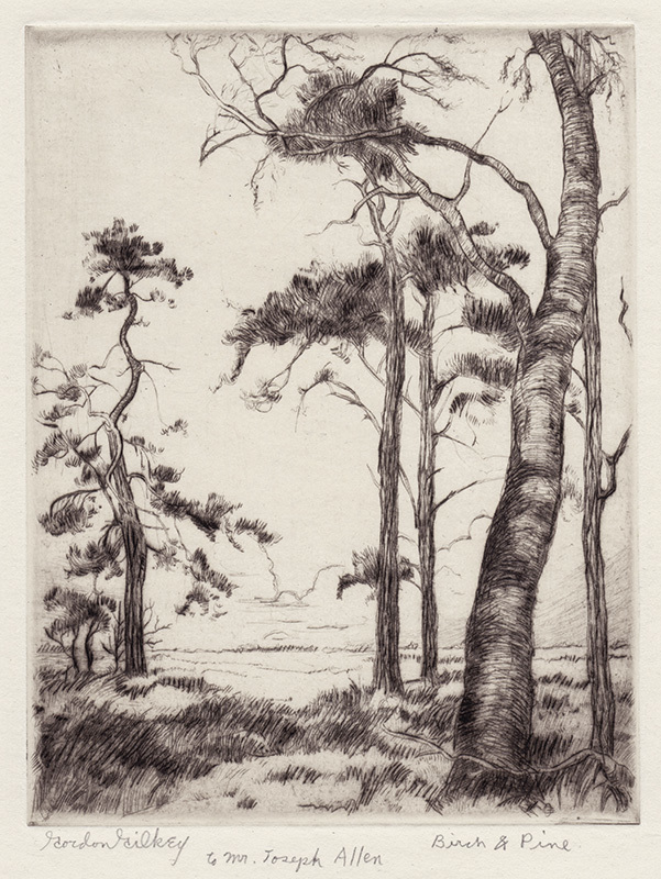 Birch & Pine by Gordon Waverly Gilkey