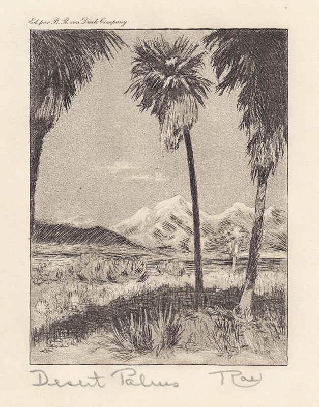 Desert Palms by Edith Ray