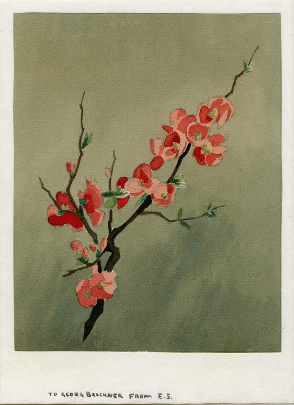 Japanese Quince by Eric Slater