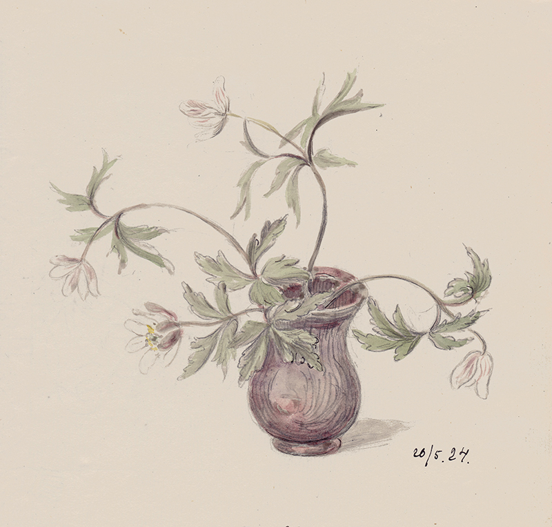 (vase of daisies) by Siri Elsie Magnus Lagercrantz