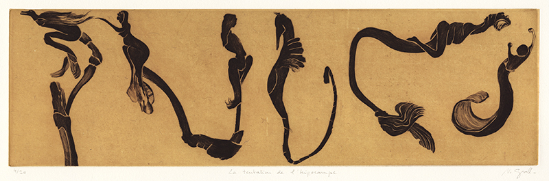 La tentation de lhippocampe (The temptation of the seahorse) by Nathalie Grall