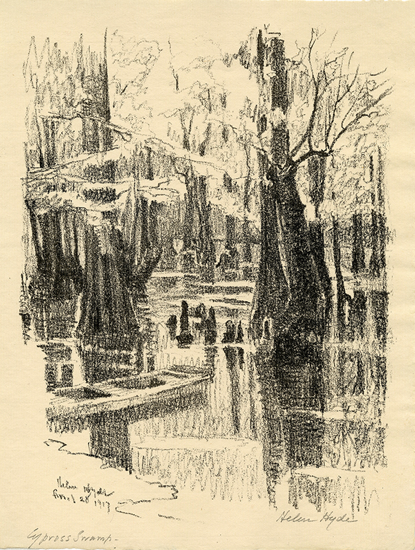 Cypress Swamp (Belvedere, South Carolina) by Helen Hyde