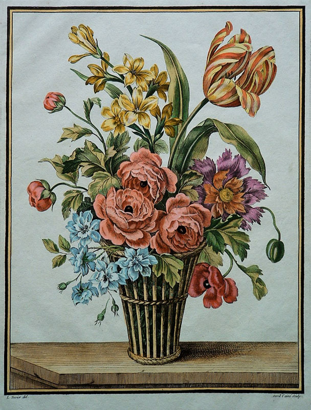 (Spring Bouquet with Ranunculus and Tulip) engraved by Jean Joseph Avril, laine for Livre de Corbeilles et Vases de Fleurs by Louis Tessier