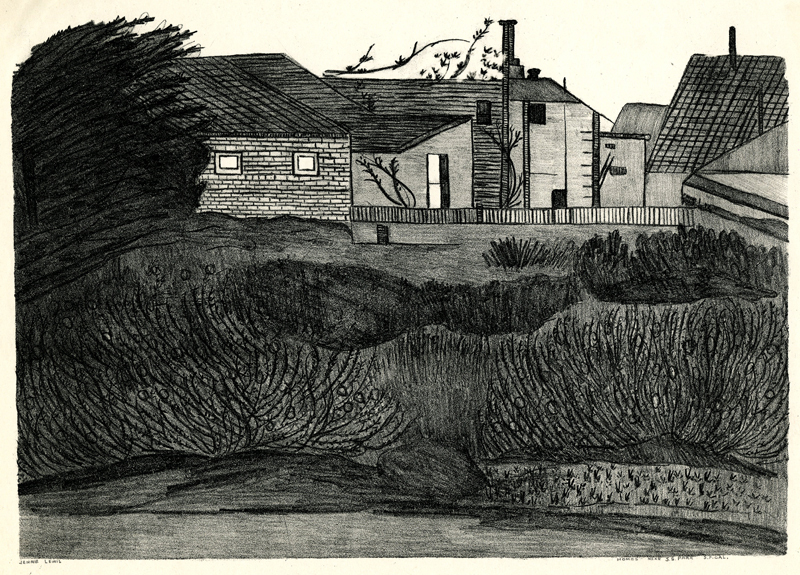 Homes Near Golden Gate Park S.F. Cal (WPA) by Jennie Lewis