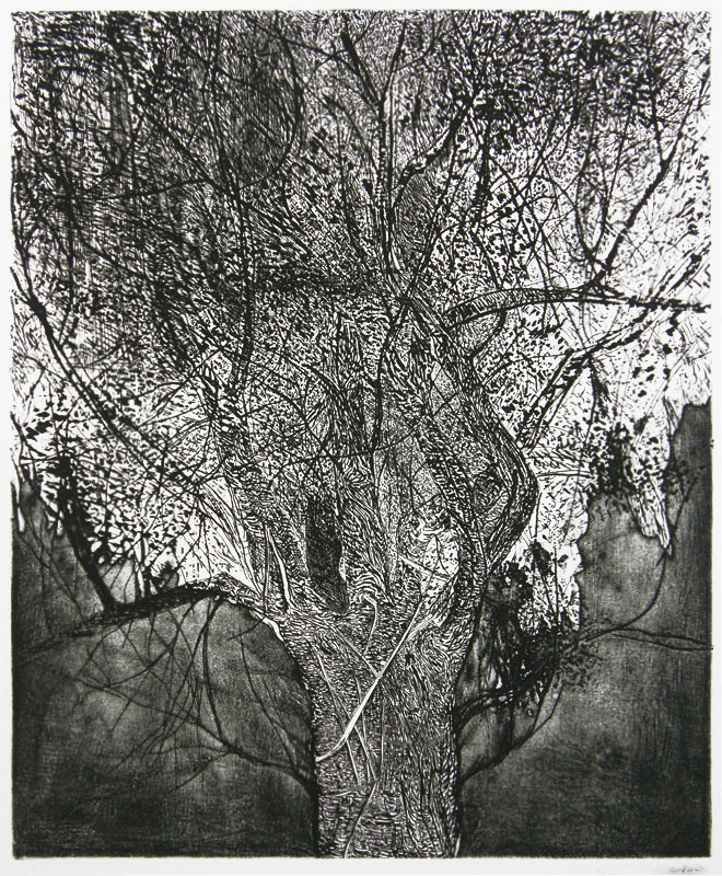 The Great Tree by Leonard Baskin