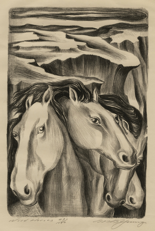 Wild Horses by Mayo Beckford Young