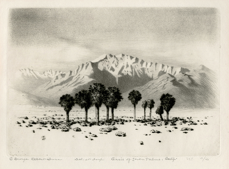 Oasis of Seven Palms, (Coachilla Valley) California, from the Desert Set. by George Elbert Burr