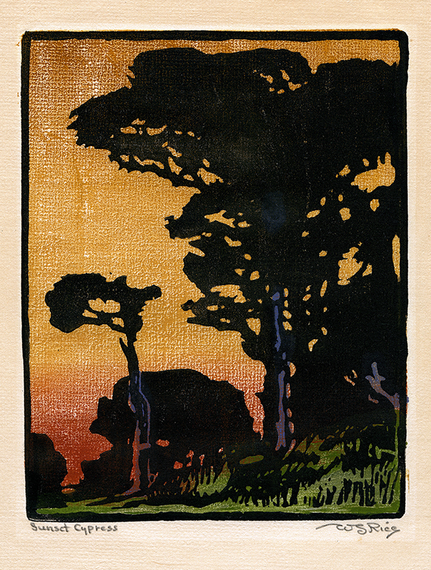 Sunset Cypress (also known as Pt. Lobos Cypress) by William Seltzer Rice