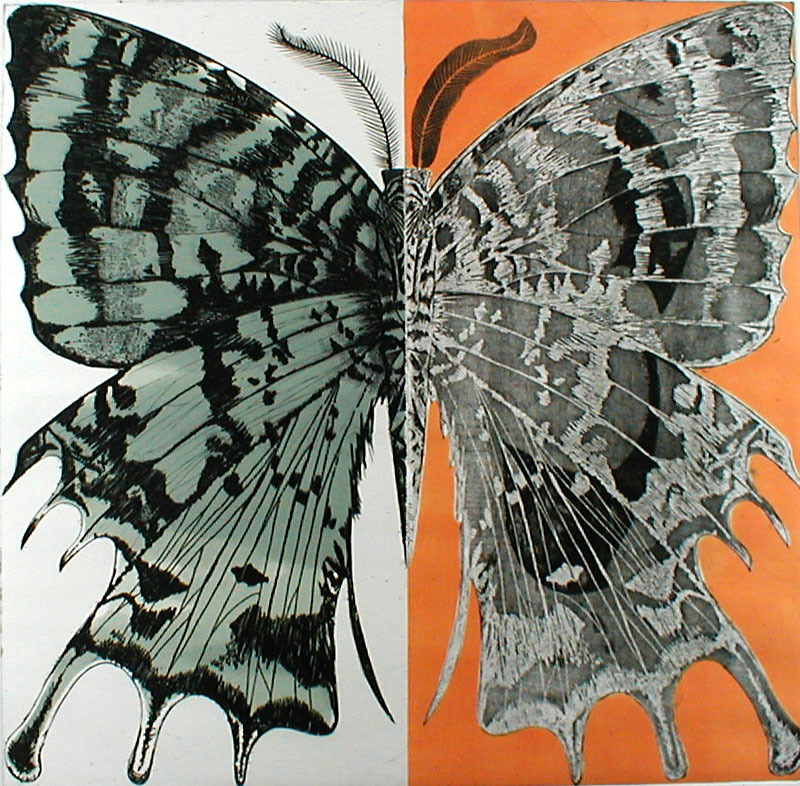 Moth by Fred G. Becker