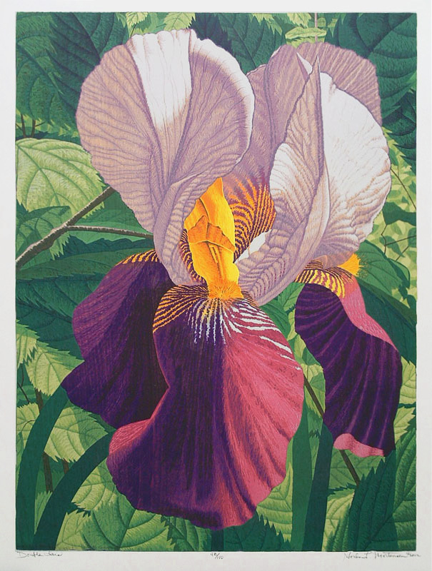 Double Iris by Gordon Louis Mortensen