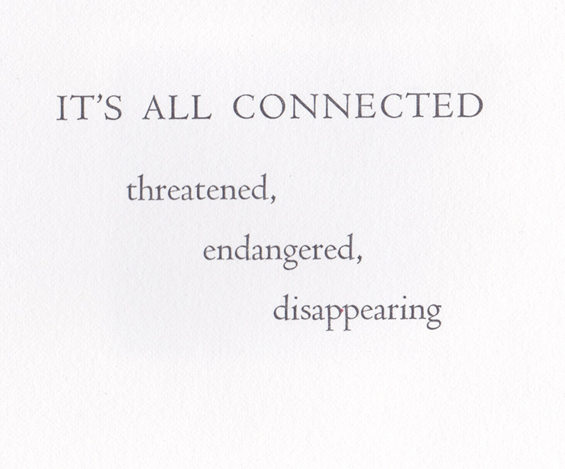 Its All Connected:  threatened, endangered, disappearing by Holly Downing