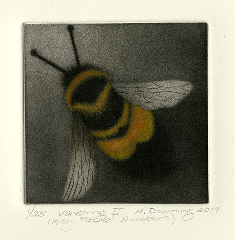 Vanishing II (Rusty Patched Bumblebee) by Holly Downing