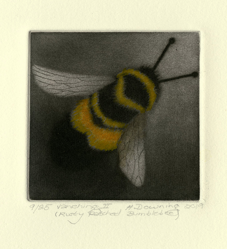 Vanishing II (Rusty Patched Bumblebee) by Holly Downing