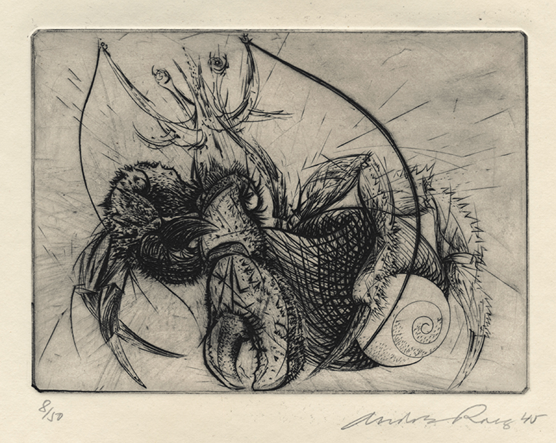 Hermit Crab - plate II from Reign of Claws by Andre Racz