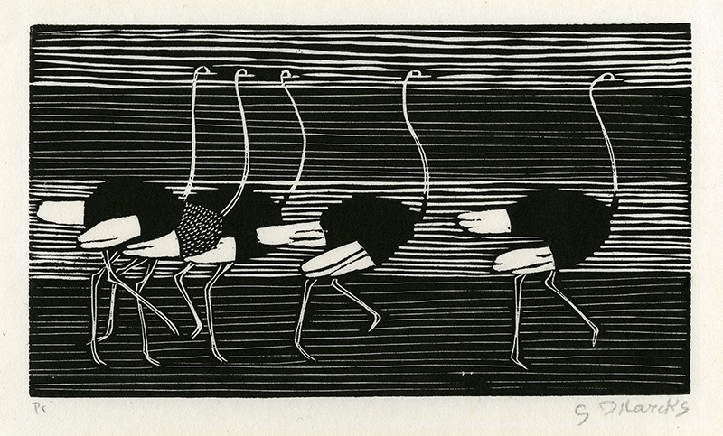 Laufende Strausse (Running Ostriches) by Gerhard Marcks