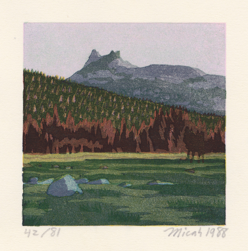 Tuolumne: Yosemite, Book I - A Suite of Five Color Woodblock Prints by Micah Schwaberow