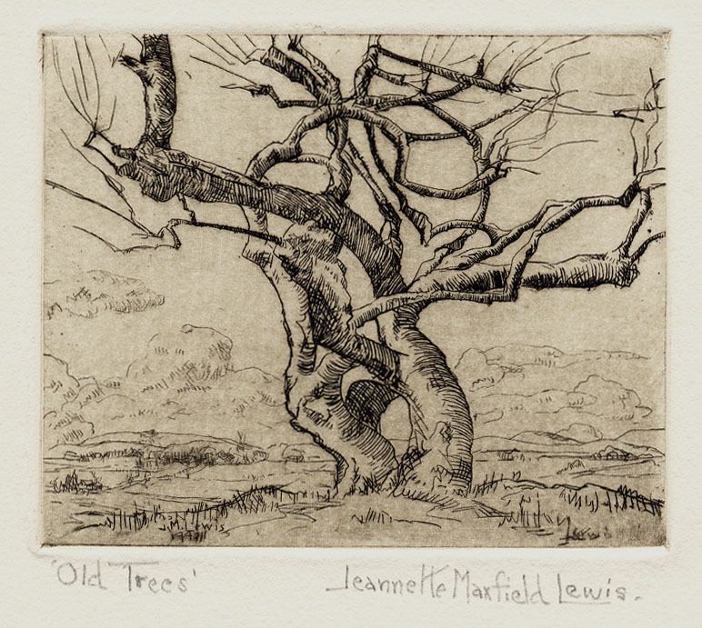 Old Trees by Jeannette Maxfield Lewis