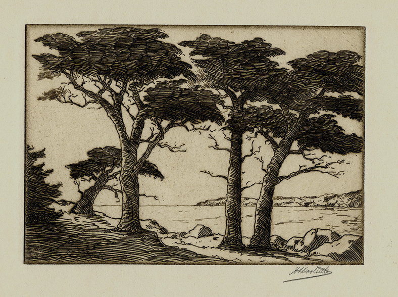 (Bay and Cypresses) by Harold Doolittle