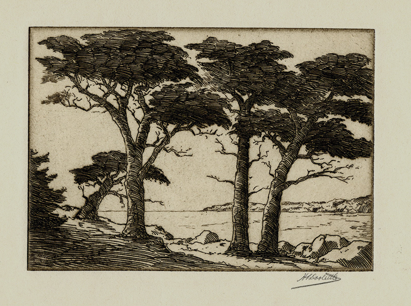 (Bay and Cypresses) by Harold Doolittle