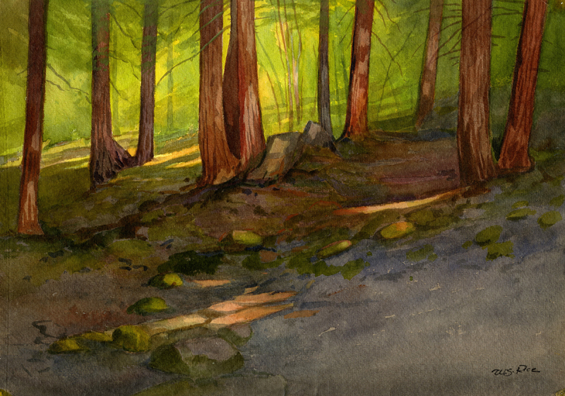 Felta Creek Redwoods by William Seltzer Rice
