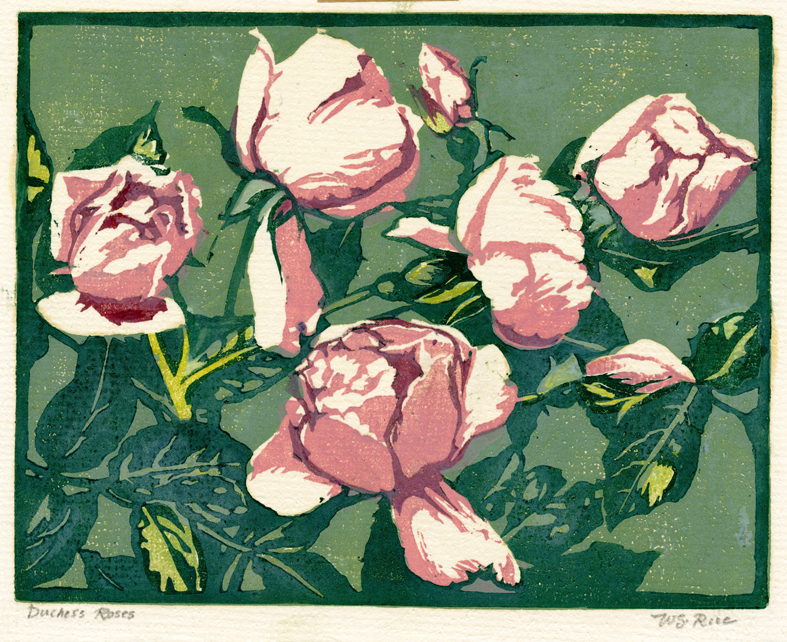 Duchess Roses by William Seltzer Rice